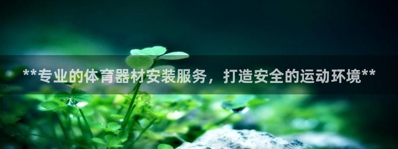 耀世集团是干嘛的企业：**专业的体育器材安装服务，打