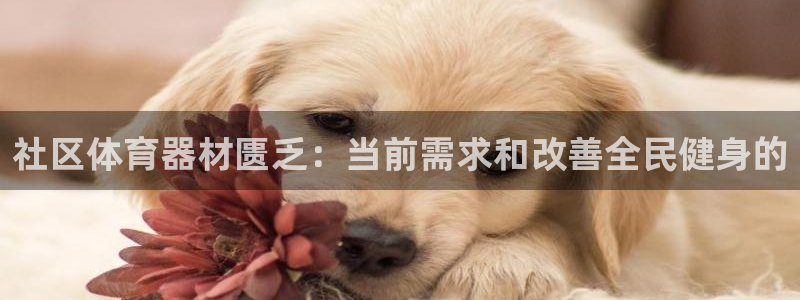 耀世娱乐百科官网：社区体育器材匮乏：当前需求和改善全