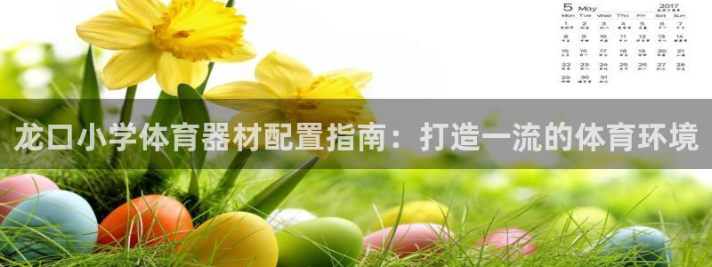耀世平台代理怎么样啊：龙口小学体育器材配置指南：打造一流的体