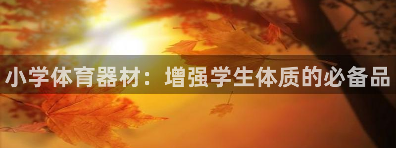 耀世集团小说