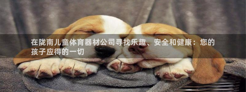 耀世平台式7O777：在陇南儿童体育器材公司寻找乐趣