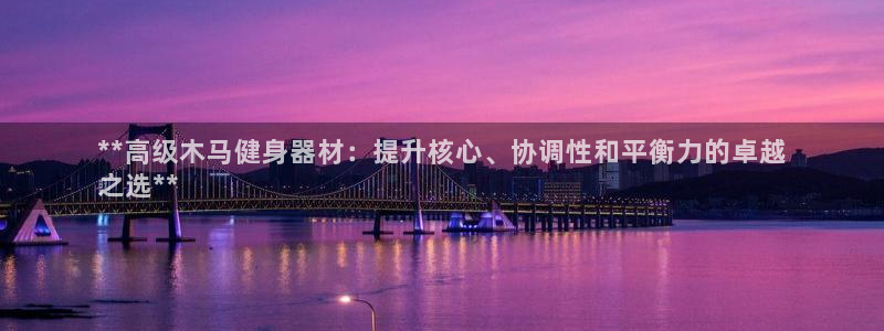 耀世娱乐辅助：**高级木马健身器材：提升核心、协调性
