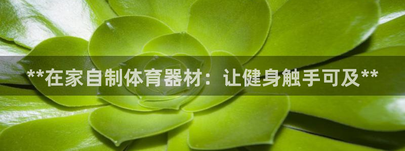 耀世令是什么：**在家自制体育器材：让健身触手可及*