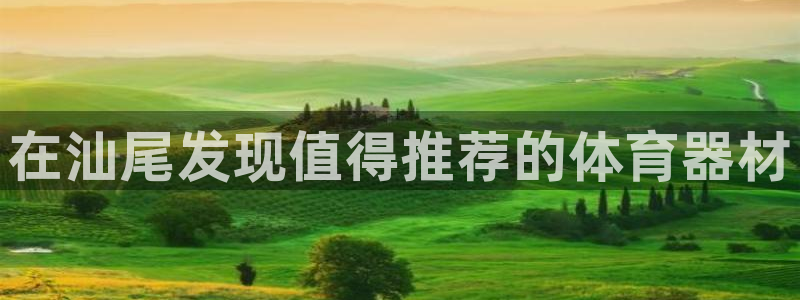 耀世平台代理怎么样可靠吗：在汕尾发现值得推荐的体育器