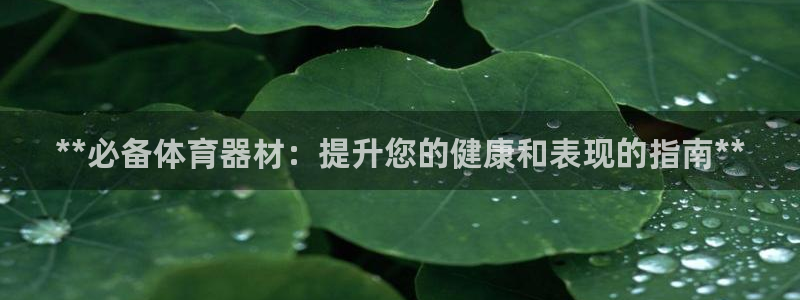 耀世而来：**必备体育器材：提升您的健康和表现的指南