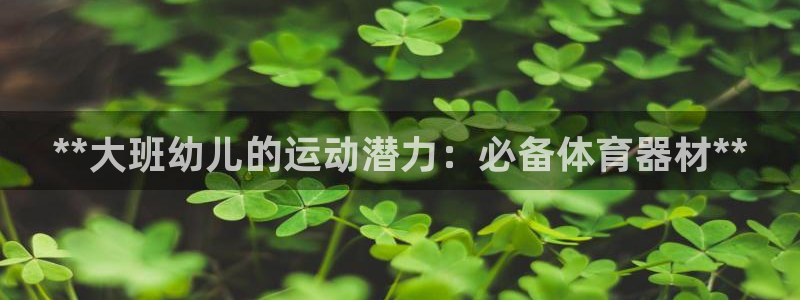 耀世广告：**大班幼儿的运动潜力：必备体育器材**