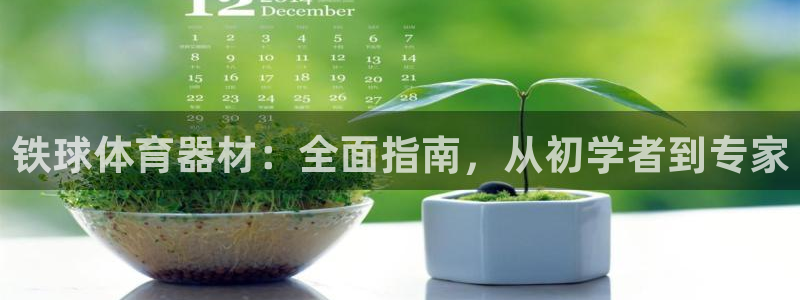 耀世金生产品介绍：铁球体育器材：全面指南，从初学者到专家