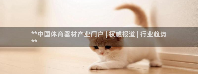 耀世雷霆官方版：**中国体育器材产业门户 | 权威报