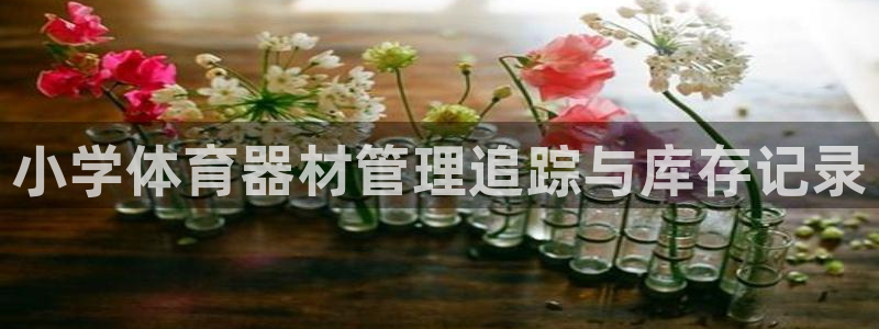 耀世平台最新注册地址在哪看：小学体育器材管理追踪与库