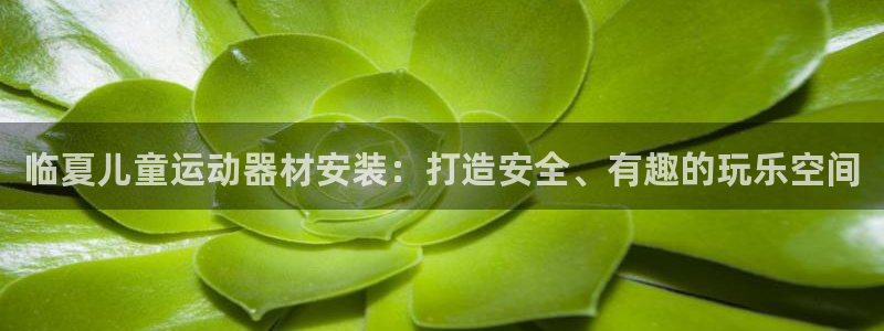 耀世平台登录地址：临夏儿童运动器材安装：打造安全、有