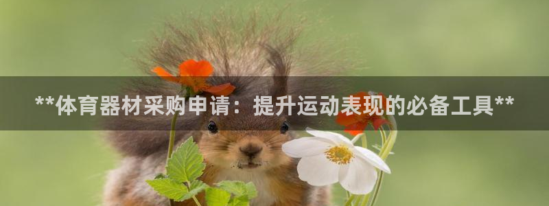 耀世平台：**体育器材采购申请：提升运动表现的必备工
