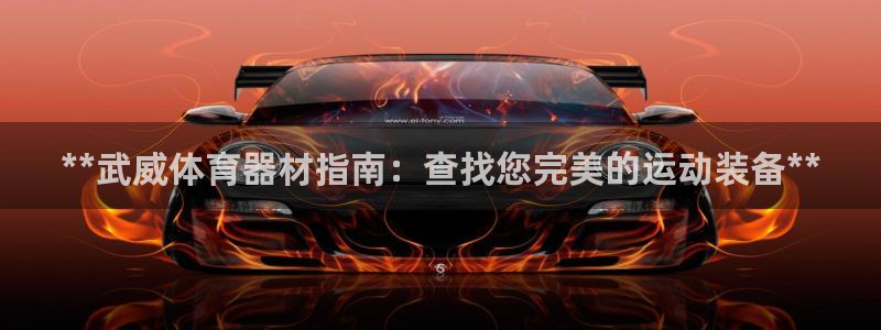 耀世娱乐总代理是谁：**武威体育器材指南：查找您完美