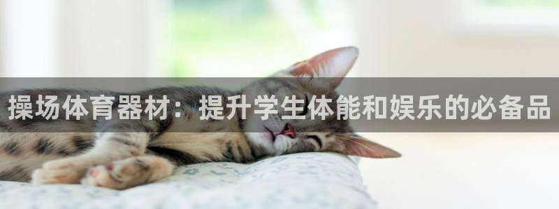 耀世是什么游戏里的人物：操场体育器材：提升学生体能和