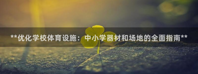 耀世娱乐违法吗：**优化学校体育设施：中小学器材和场