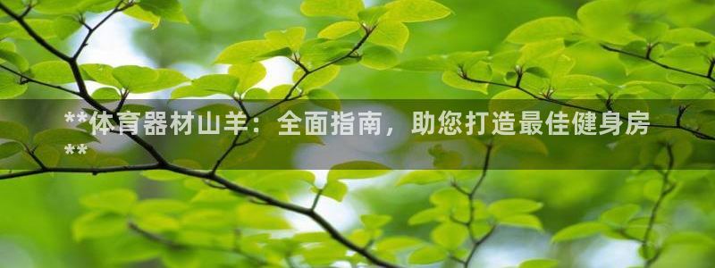 耀世娱乐能提现吗现在：**体育器材山羊：全面指南，助