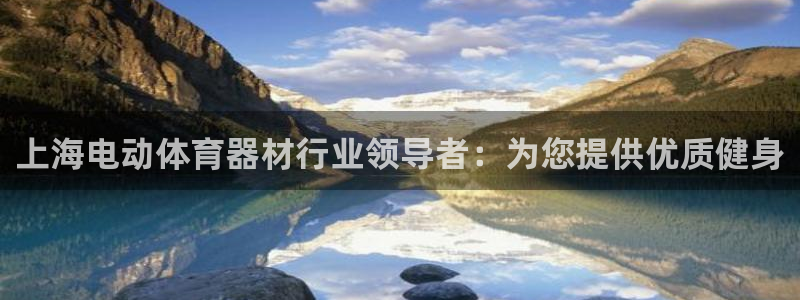 六星耀世什么意思：上海电动体育器材行业领导者：为您提