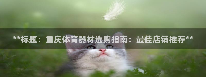耀世娱乐平台官网登录入口手机版：**标题：重庆体育器