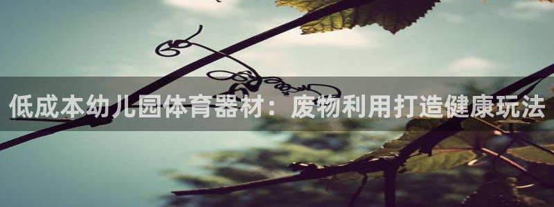 耀世娱乐黑钱吗是真的吗：低成本幼儿园体育器材：废物利用打造健