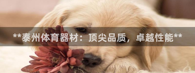 耀世娱乐平台官网下载：**泰州体育器材：顶尖品质，卓