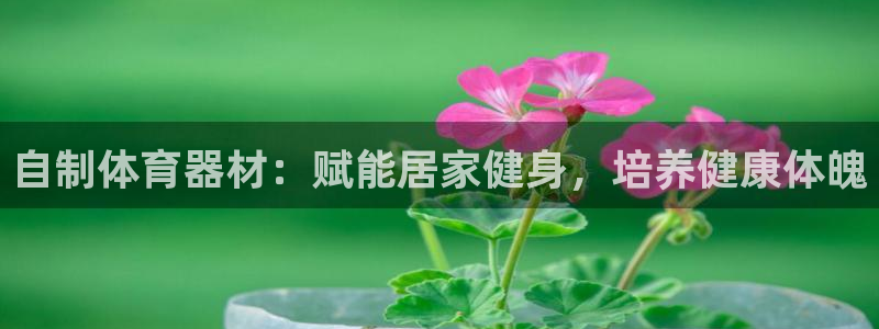 耀世娱乐认择 58534I 娱乐：自制体育器材：赋能居家健身