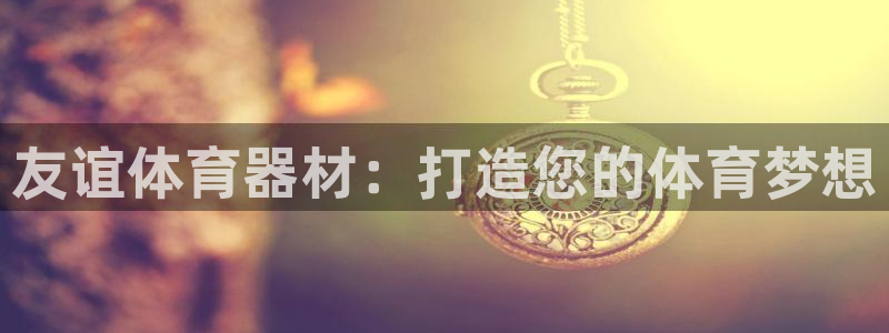 耀世平台注册网址查询：友谊体育器材：打造您的体育梦想