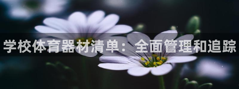 耀世娱乐是什么：学校体育器材清单：全面管理和追踪