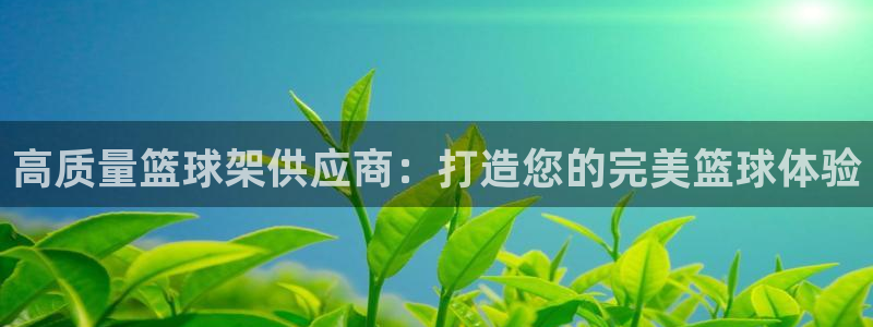 耀世娱乐登录地址在哪看：高质量篮球架供应商：打造您的