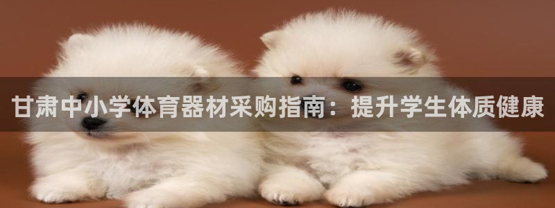 耀世娱乐平台官网首页：甘肃中小学体育器材采购指南：提