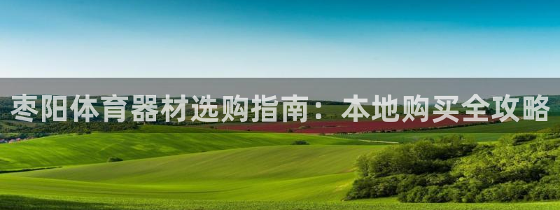耀世挑战第三关怎么过：枣阳体育器材选购指南：本地购买