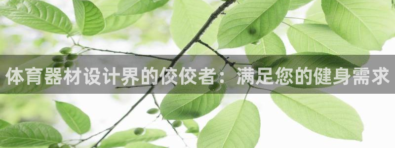 耀世集团小视频：体育器材设计界的佼佼者：满足您的健身需求