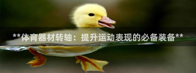 耀世启幕：**体育器材转轴：提升运动表现的必备装备*