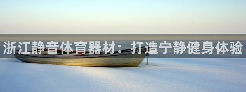 耀世集团王总简介：浙江静音体育器材：打造宁静健身体验