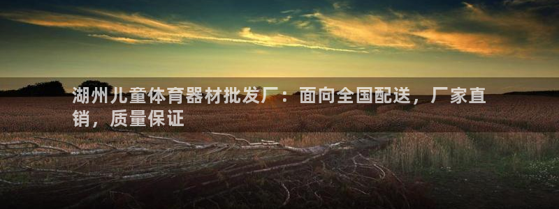 耀世娱乐联 411O31 娱乐：湖州儿童体育器材批发