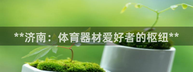 耀世平台主管：**济南：体育器材爱好者的枢纽**