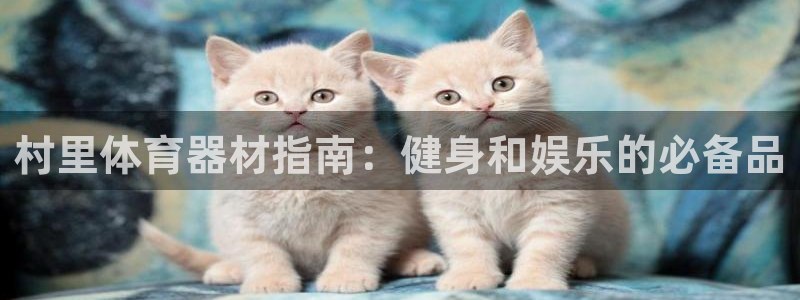 耀世集团视频直播：村里体育器材指南：健身和娱乐的必备
