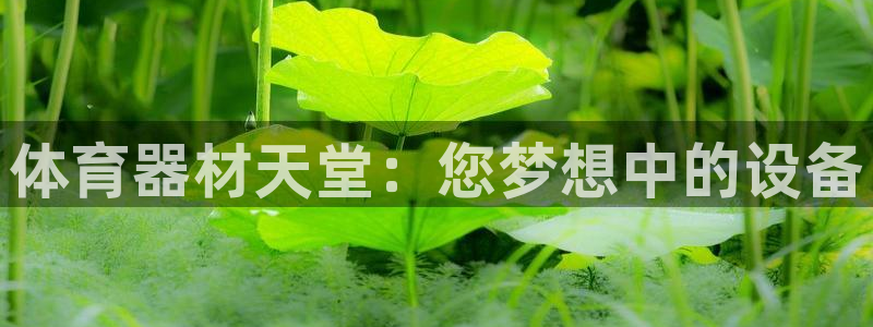 耀世娱乐能不能提现：体育器材天堂：您梦想中的设备