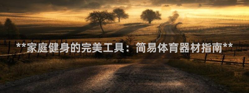耀世娱乐平台官网首页：**家庭健身的完美工具：简易体育器材指