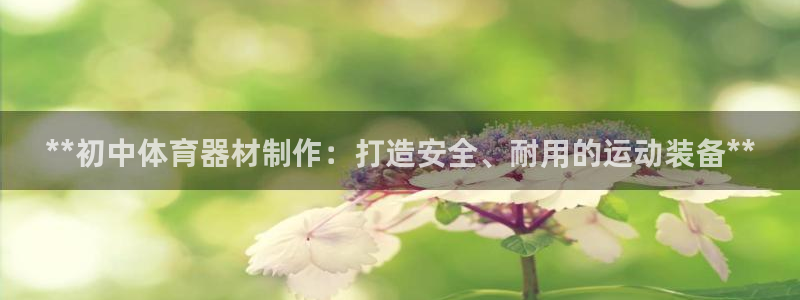 耀世平台负责人：**初中体育器材制作：打造安全、耐用