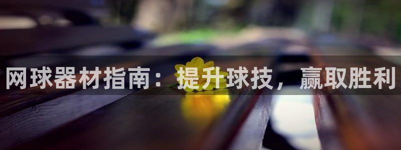 耀世娱乐几年了?：网球器材指南：提升球技，赢取胜利