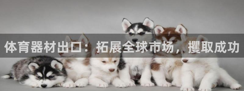 耀世平台哪个彩种是公平彩的：体育器材出口：拓展全球市