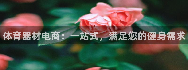 耀世娱乐平台注册地址在哪里：体育器材电商：一站式，满
