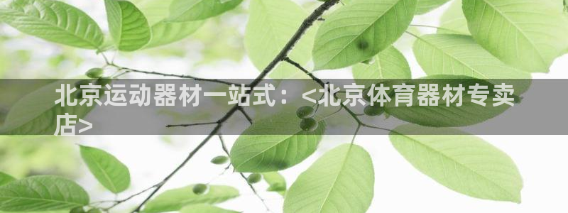 耀世娱乐平台注册登录不了：北京运动器材一站式：<北京