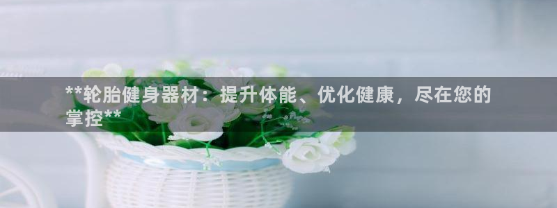 耀世娱乐百科官网：**轮胎健身器材：提升体能、优化健