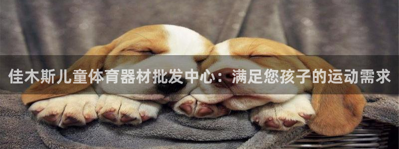 耀世平台哪个彩种是公平彩：佳木斯儿童体育器材批发中心
