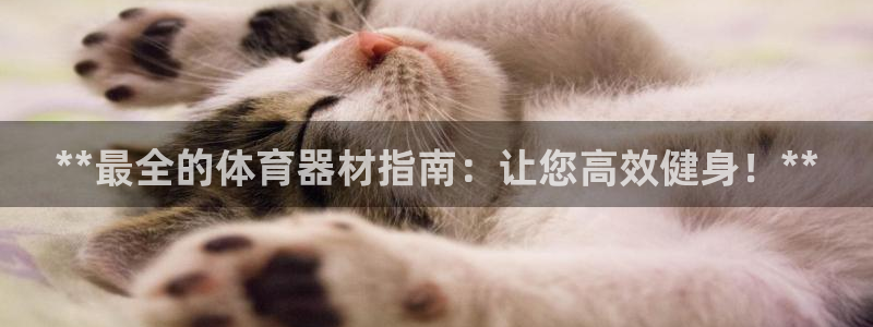 耀世平台代理多少钱：**最全的体育器材指南：让您高效