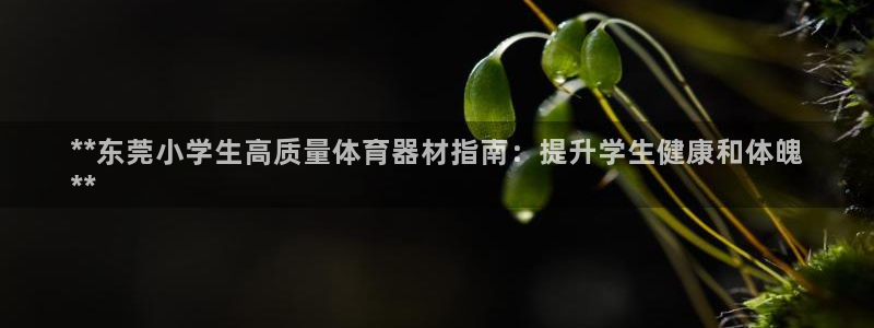 耀世娱乐中国：**东莞小学生高质量体育器材指南：提升学生健康