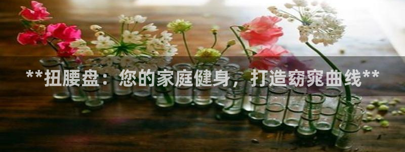 耀世集团王大聪：**扭腰盘：您的家庭健身，打造窈窕曲