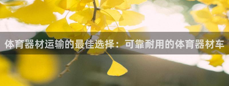 耀世娱乐是不是赚钱了：体育器材运输的最佳选择：可靠耐