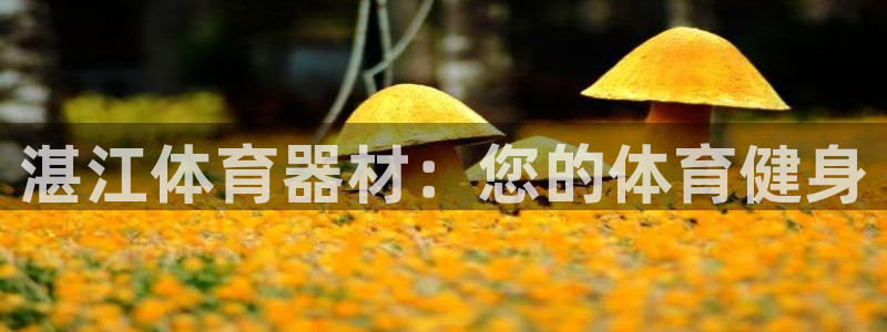 耀世平台主管代理是谁：湛江体育器材：您的体育健身