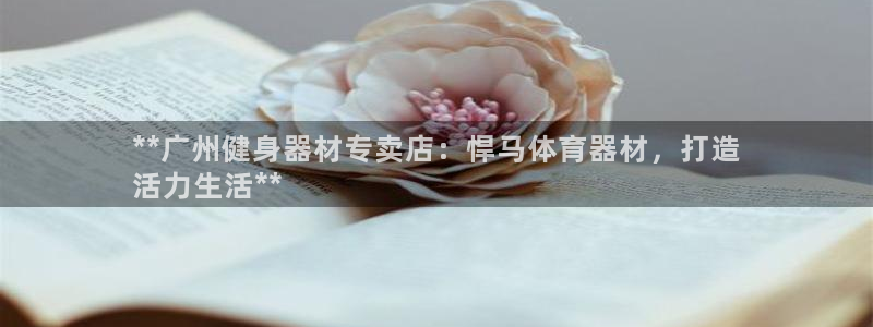 耀世平台是黑台子吗：**广州健身器材专卖店：悍马体育